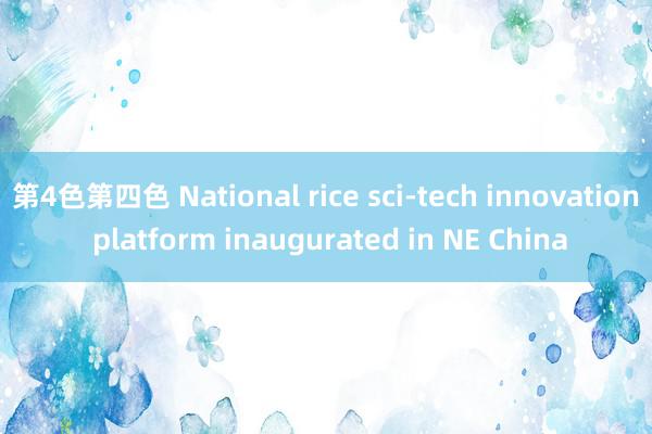 第4色第四色 National rice sci-tech innovation platform inaugurated in NE China