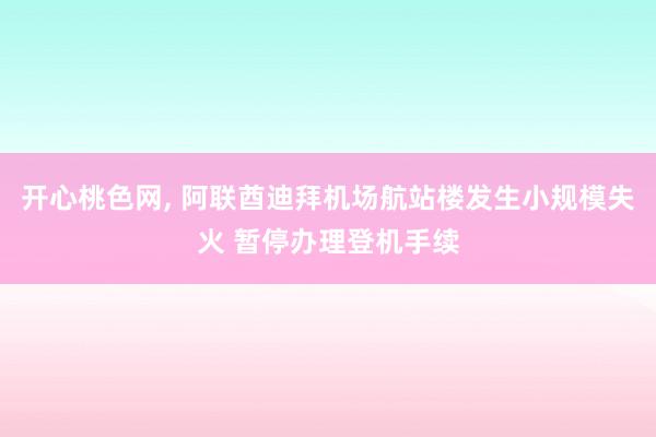 开心桃色网, 阿联酋迪拜机场航站楼发生小规模失火 暂停办理登机手续