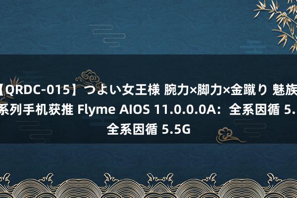 【QRDC-015】つよい女王様 腕力×脚力×金蹴り 魅族21 系列手机获推 Flyme AIOS 11.0.0.0A：全系因循 5.5G