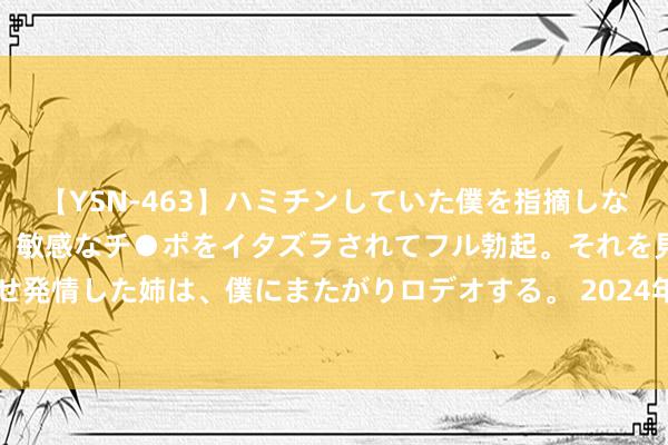 【YSN-463】ハミチンしていた僕を指摘しながらも含み笑いを浮かべ、敏感なチ●ポをイタズラされてフル勃起。それを見て目をトロ～ンとさせ発情した姉は、僕にまたがりロデオする。 2024年7月28日甘肃天水市瀛池果菜批发市集价钱行情