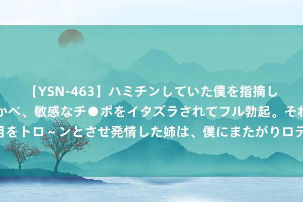 【YSN-463】ハミチンしていた僕を指摘しながらも含み笑いを浮かべ、敏感なチ●ポをイタズラされてフル勃起。それを見て目をトロ～ンとさせ発情した姉は、僕にまたがりロデオする。 乱泊车挡住了商铺如何办