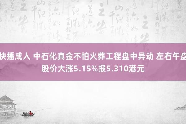 快播成人 中石化真金不怕火葬工程盘中异动 左右午盘股价大涨5.15%报5.310港元