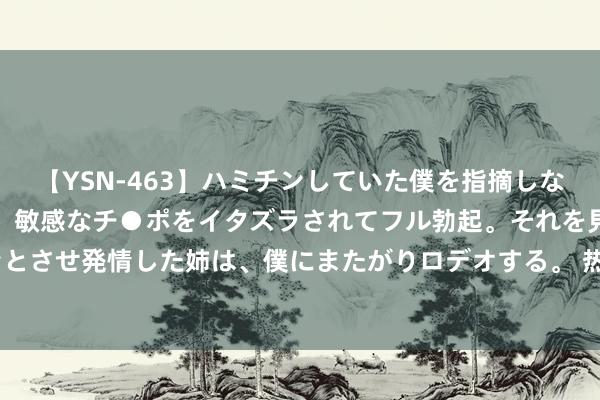 【YSN-463】ハミチンしていた僕を指摘しながらも含み笑いを浮かべ、敏感なチ●ポをイタズラされてフル勃起。それを見て目をトロ～ンとさせ発情した姉は、僕にまたがりロデオする。 热血外传: 新百区四大热点商品, 第一无争议!