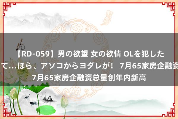 【RD-059】男の欲望 女の欲情 OLを犯したい すました顔して…ほら、アソコからヨダレが！ 7月65家房企融资总量创年内新高