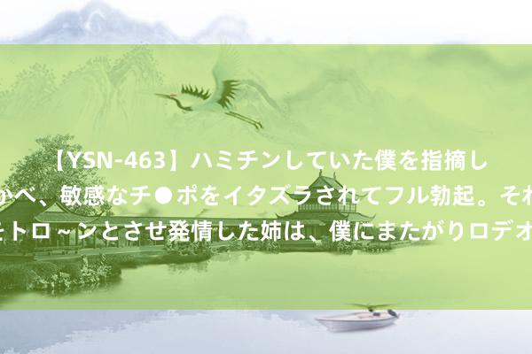 【YSN-463】ハミチンしていた僕を指摘しながらも含み笑いを浮かべ、敏感なチ●ポをイタズラされてフル勃起。それを見て目をトロ～ンとさせ発情した姉は、僕にまたがりロデオする。 七成新的良马X7不错卖若干钱