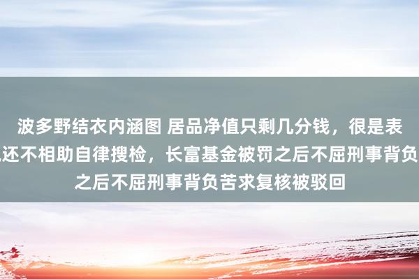 波多野结衣内涵图 居品净值只剩几分钱，很是表示基金净值不说还不相助自律搜检，长富基金被罚之后不屈刑事背负苦求复核被驳回