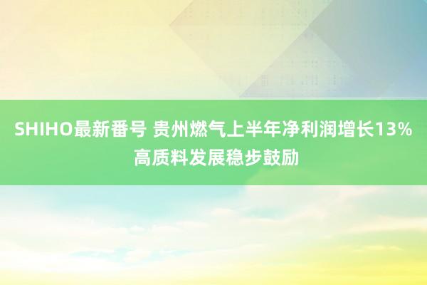 SHIHO最新番号 贵州燃气上半年净利润增长13% 高质料发展稳步鼓励