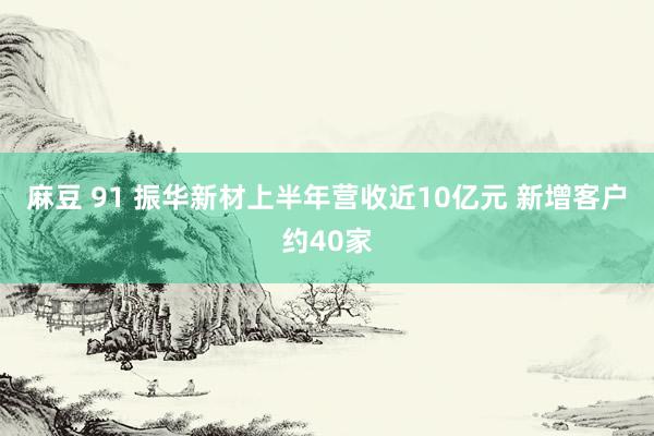 麻豆 91 振华新材上半年营收近10亿元 新增客户约40家