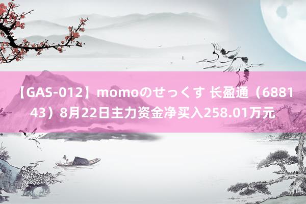 【GAS-012】momoのせっくす 长盈通（688143）8月22日主力资金净买入258.01万元