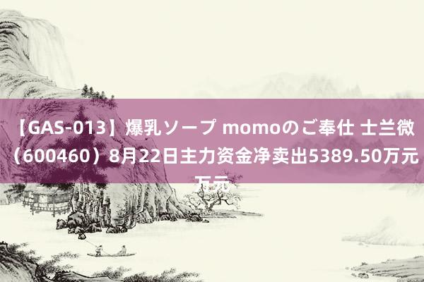 【GAS-013】爆乳ソープ momoのご奉仕 士兰微（600460）8月22日主力资金净卖出5389.50万元