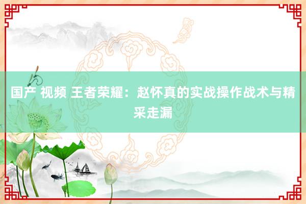 国产 视频 王者荣耀：赵怀真的实战操作战术与精采走漏