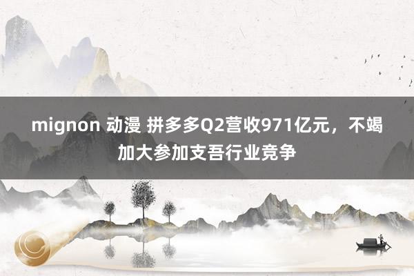 mignon 动漫 拼多多Q2营收971亿元，不竭加大参加支吾行业竞争